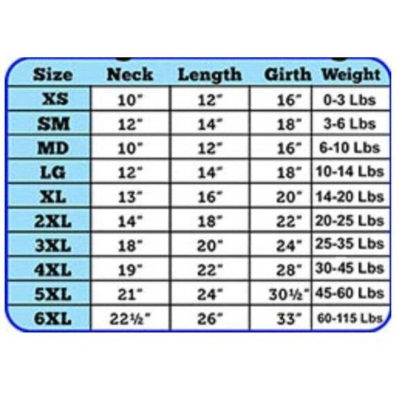 Custom Birthday boy dog shirt - Picture 2 of 6